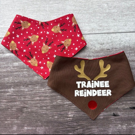 Christmas Bandana - Trainee Reindeer