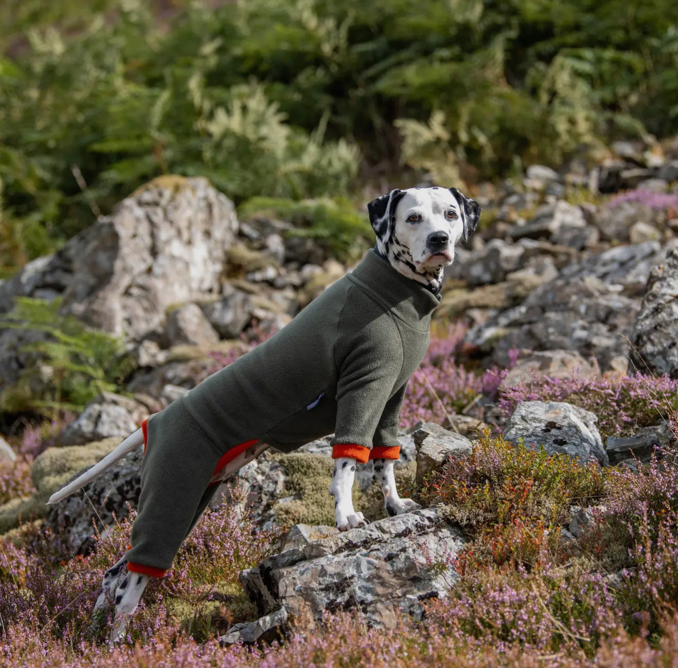 Fleece Winter Suits with 4 Legs