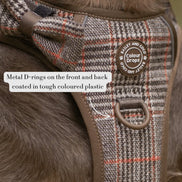 Bailey & Coco Trail & Glow Tweed Dog Harness - Colour Drops - Heritage Plaid