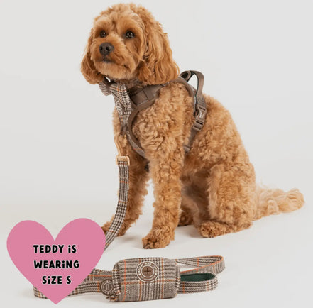 Bailey & Coco Trail & Glow Tweed Dog Harness - Colour Drops - Heritage Plaid