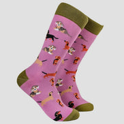 Sausage Dog Socks - Dasching Around