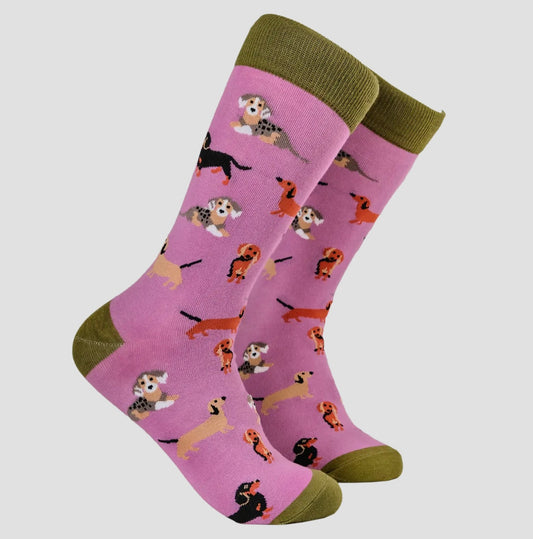 Sausage Dog Socks - Dasching Around
