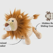 Big Five of Africa - Lion