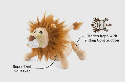 Big Five of Africa - Lion