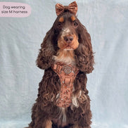 Disney© Tough Trails™ Harness - Slinky
