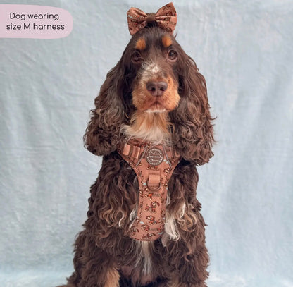 Disney© Tough Trails™ Harness - Slinky