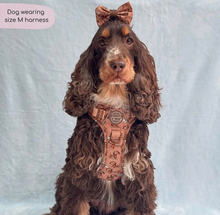 Disney© Tough Trails™ Harness - Slinky