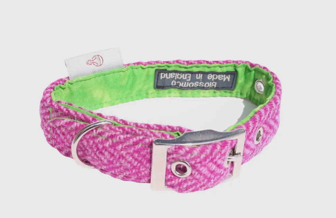 Benbecula - Harris Tweed Dog Collar
