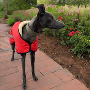Sherpa - Fleece Lined Sighthound Coat - Harness Hole - No Velcro