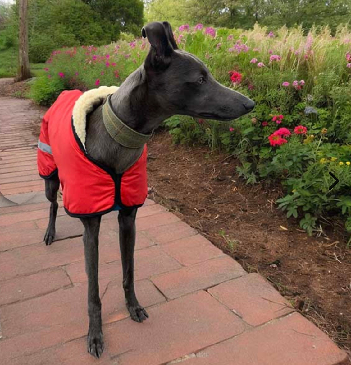 Sherpa - Fleece Lined Sighthound Coat - Harness Hole - No Velcro