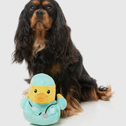 Ducktor - Dog Toy