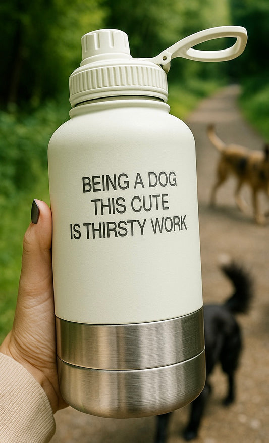 The Bowl Bottle - Our 3-in-1 Travel Bottle