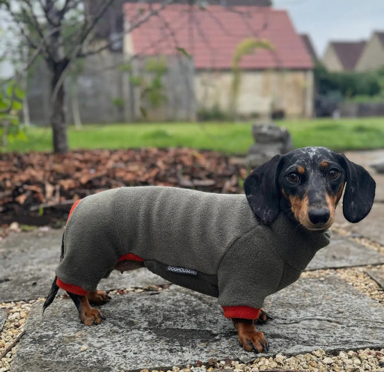 Dachshund Fleece Winter Suits with 4 Legs