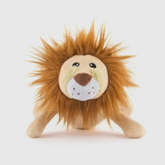 Big Five of Africa - Lion