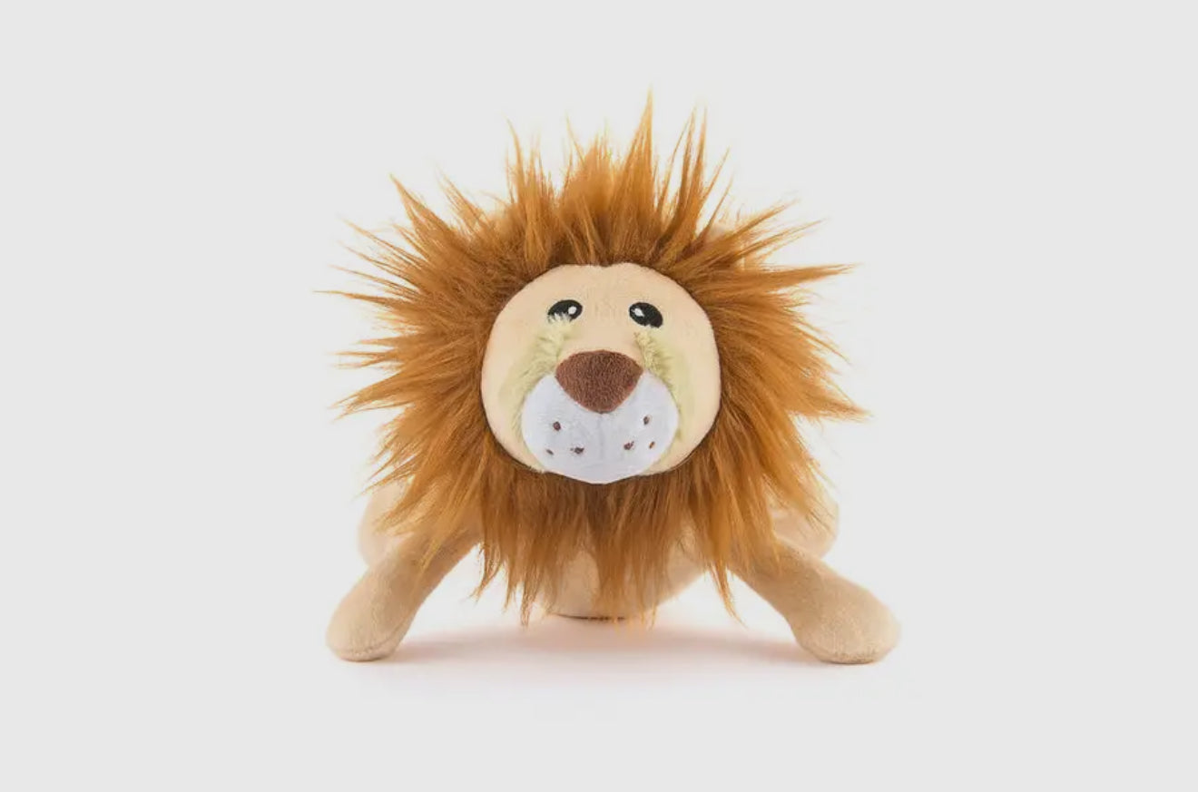 Big Five of Africa - Lion