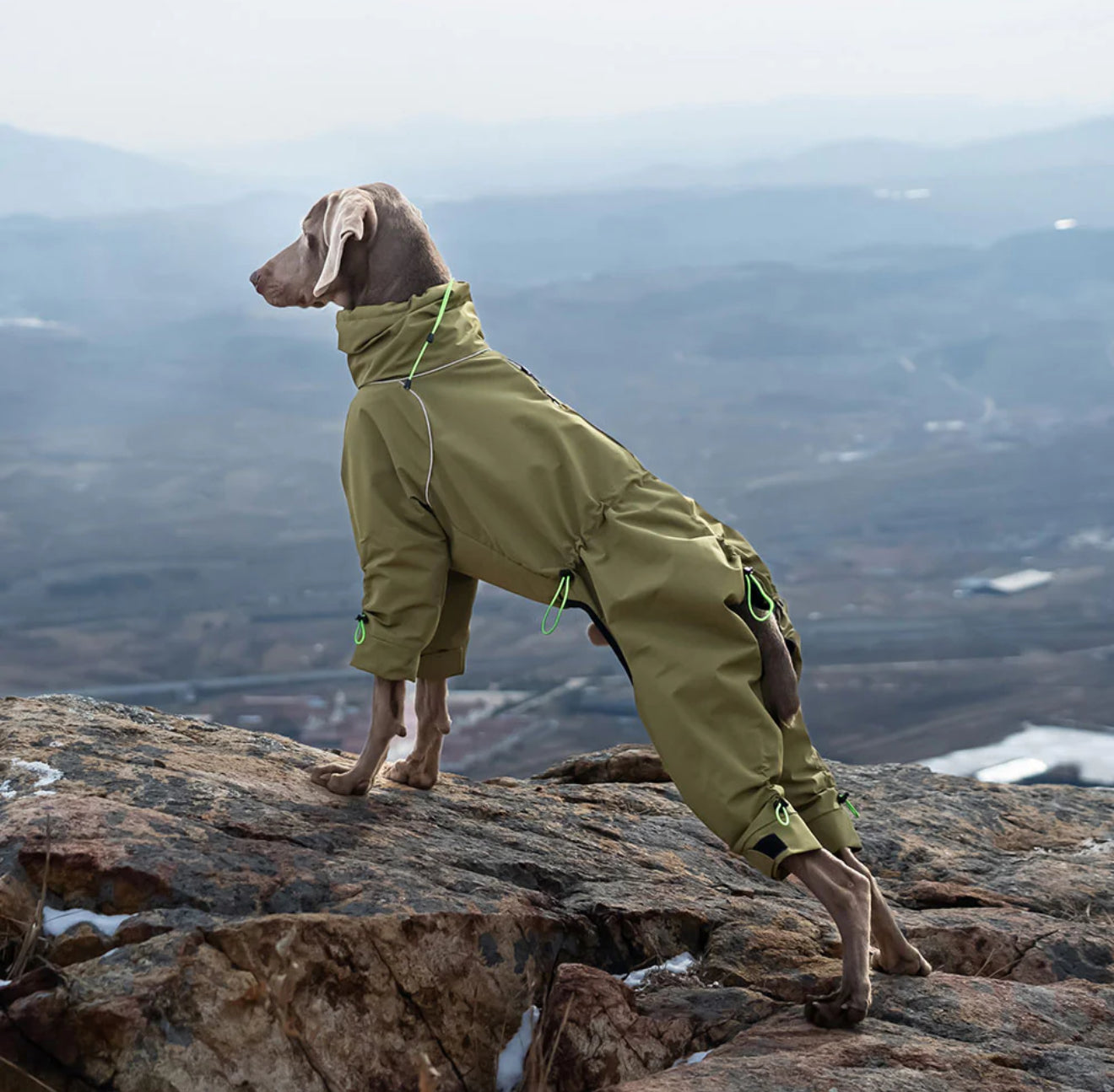 THERMALUXE FLEECE LINED DOG SUIT