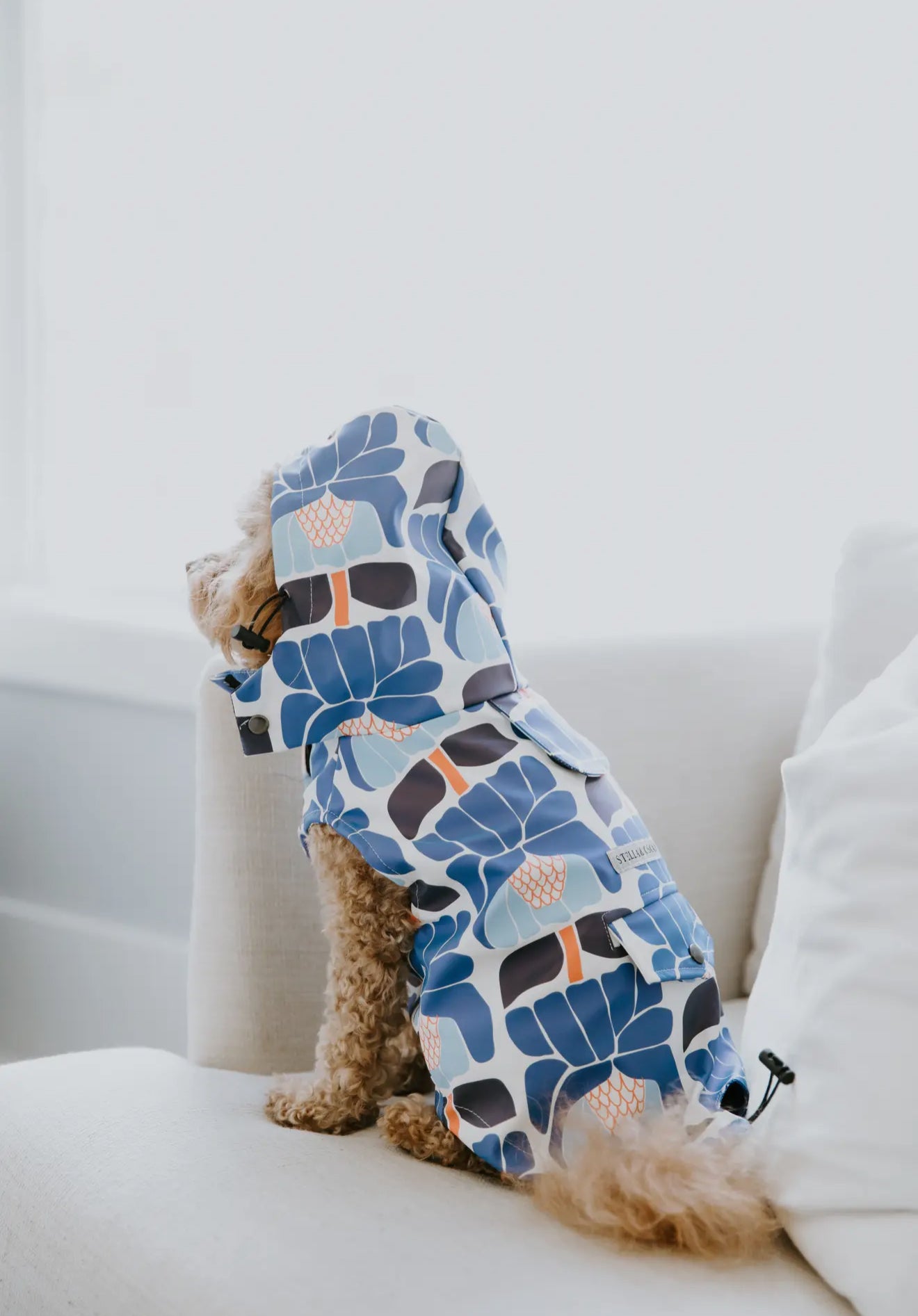 Floral Dog Rain Jacket