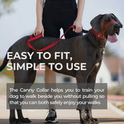Canny Collar No Pull Dog Head collar - Gentle, Kind, Comfy
