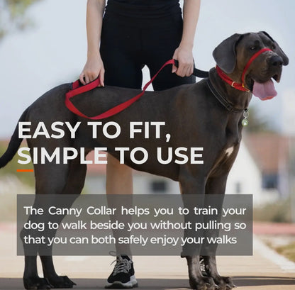 Canny Colossus No Pull Dog Headcollar - Large, Giant Breeds