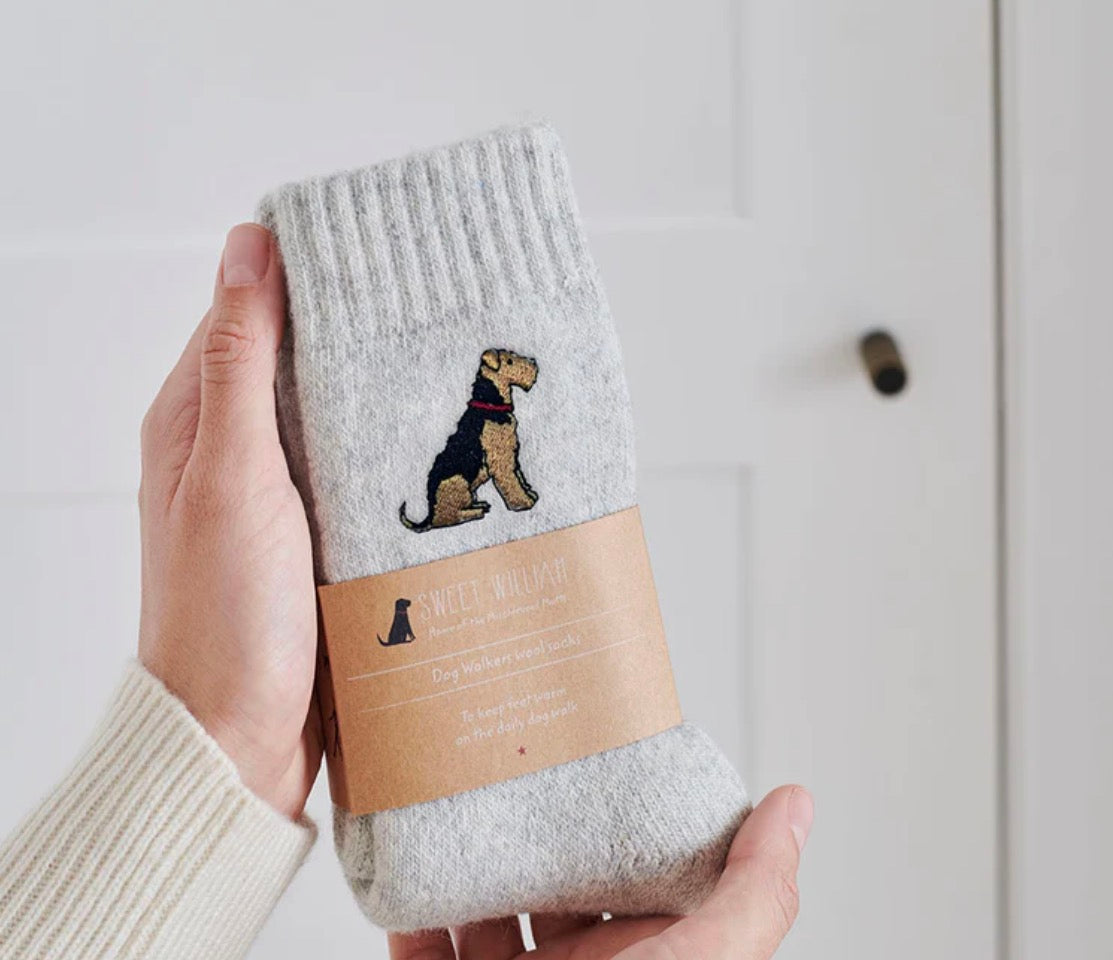 Dog Walking Socks