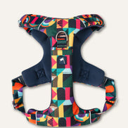 Aurora Adventure Harness 2.0