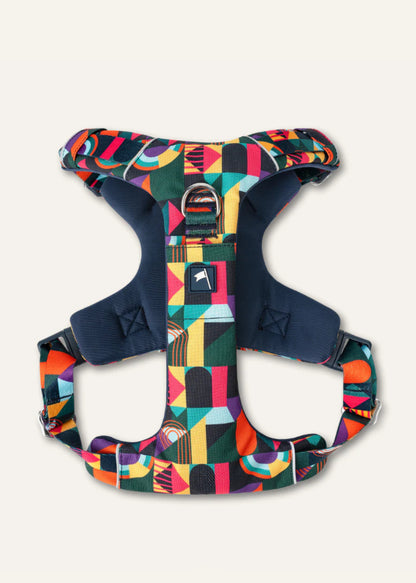 Aurora Adventure Harness 2.0