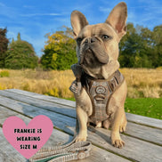 Bailey & Coco Trail & Glow Tweed Dog Harness - Colour Drops - Heritage Plaid