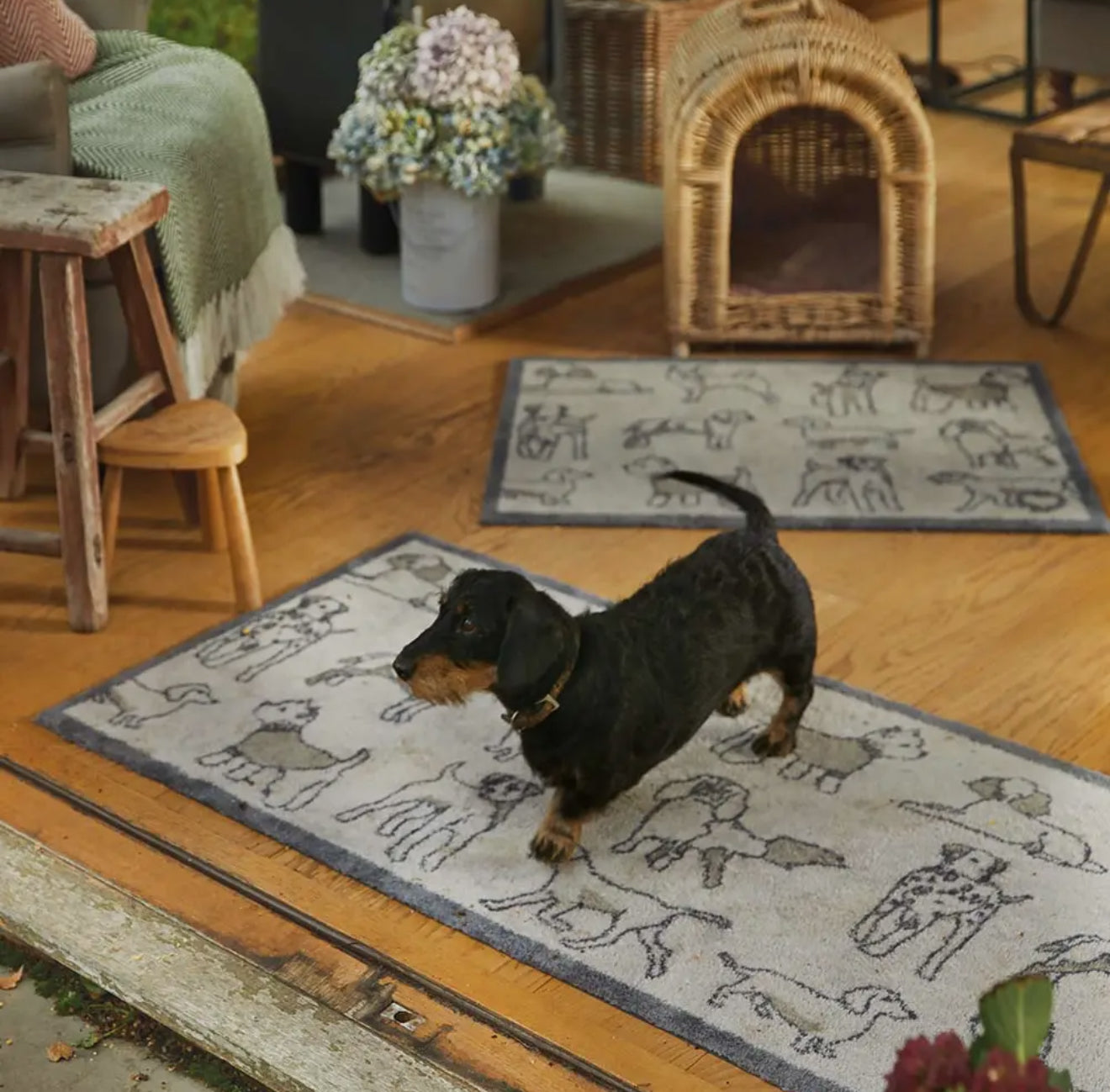 Hug Rug - Pet 70