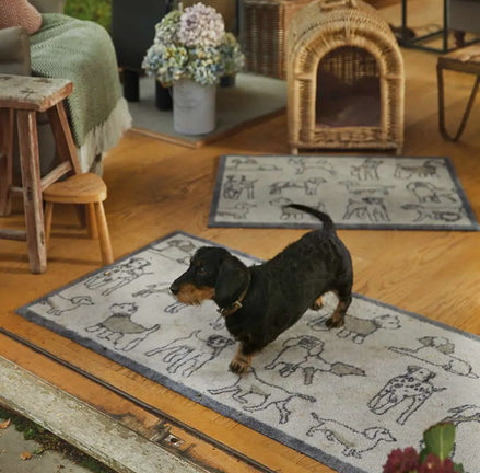 Hug Rug - Pet 70