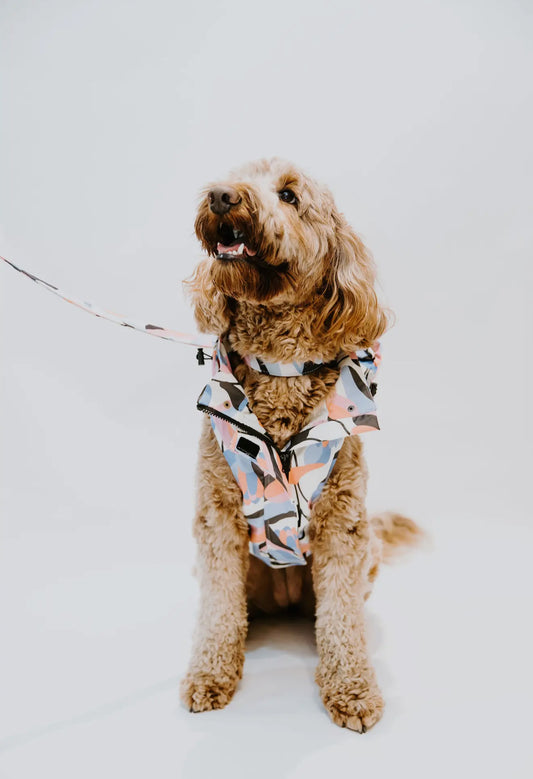 Leaf Dog Rain Jacket