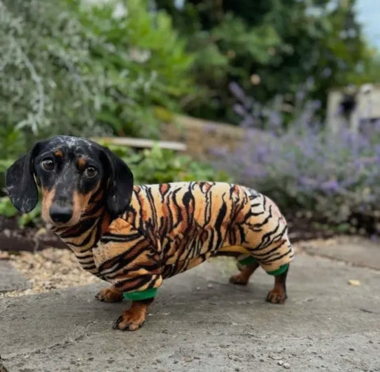 Dachshund Wild Range Fleece Suits with 4 Legs