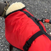 Sherpa - Fleece Lined Sighthound Coat - Harness Hole - No Velcro
