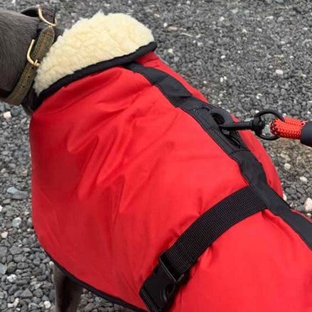 Sherpa - Fleece Lined Sighthound Coat - Harness Hole - No Velcro