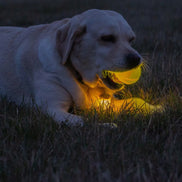 Rechargeable Led Dog Ball