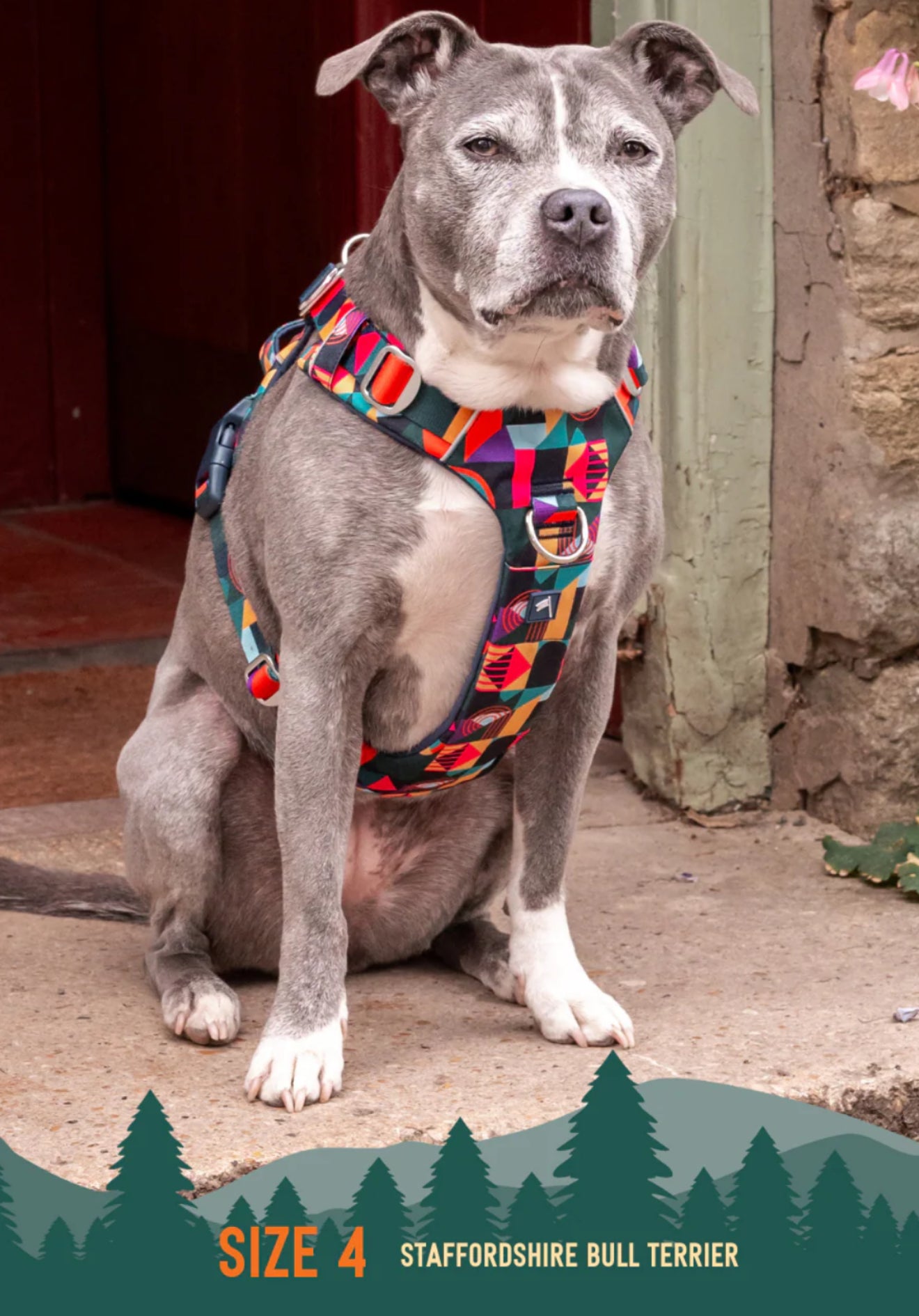 Aurora Adventure Harness 2.0