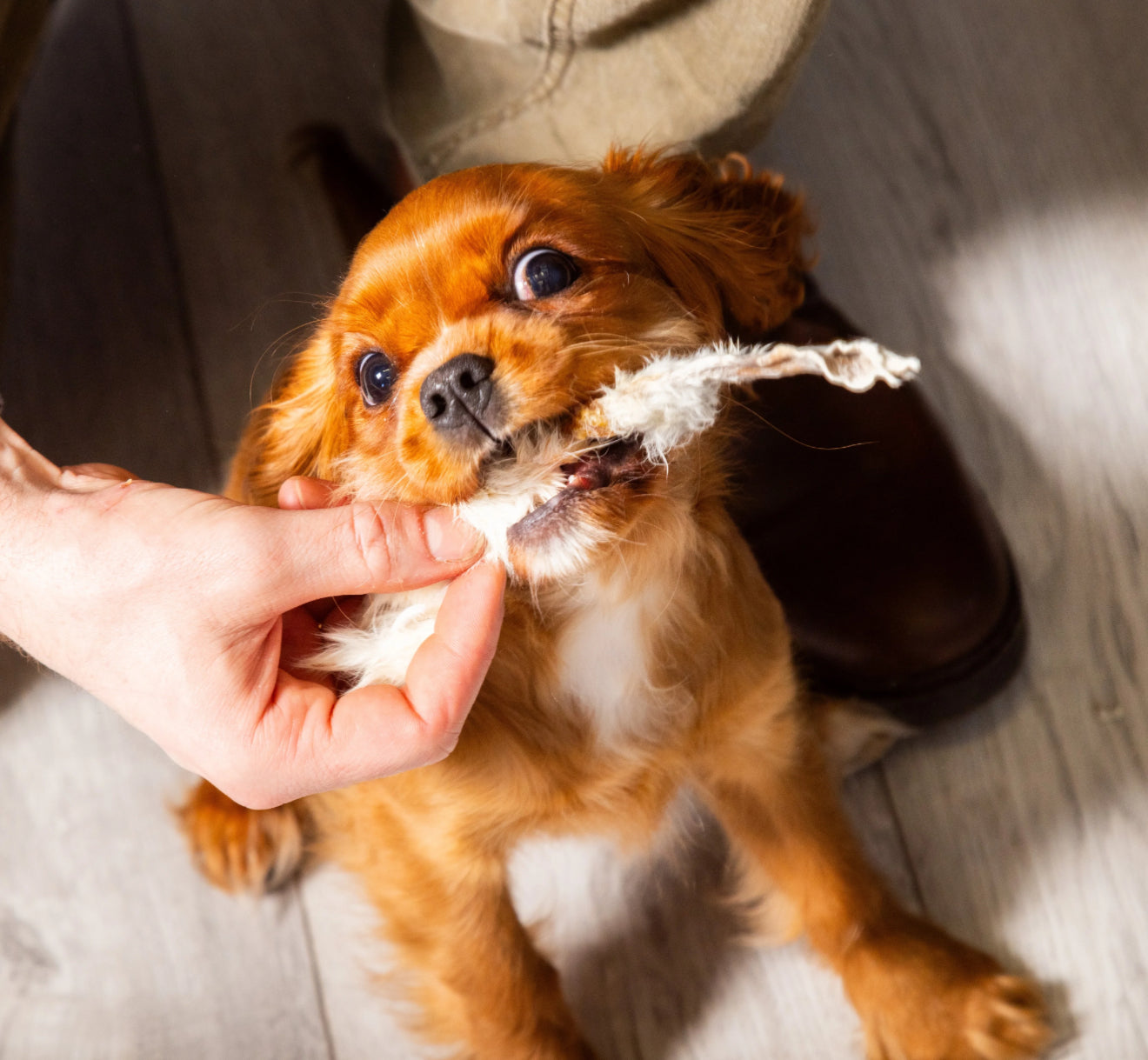 30 PIECE NATURAL TREAT BOX