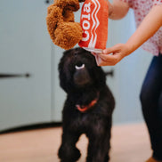 Snack Attack Good Boy Cola