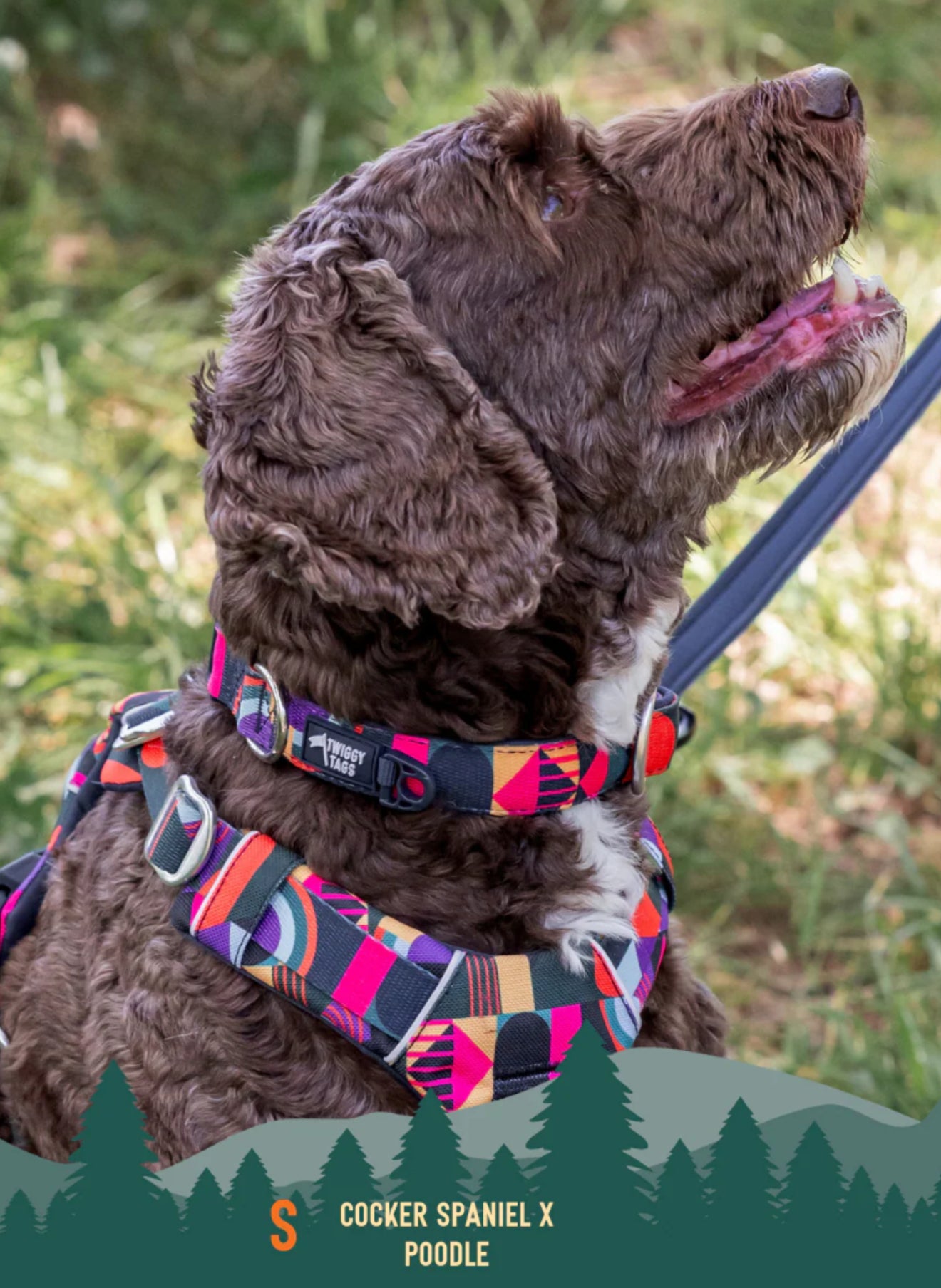 Lagoon Comfort Collar