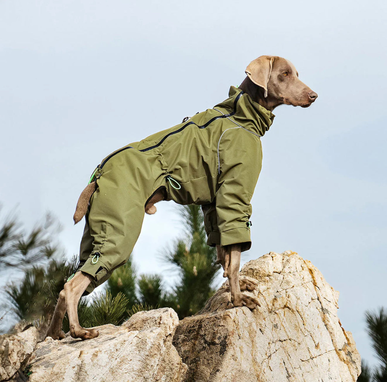 THERMALUXE FLEECE LINED DOG SUIT