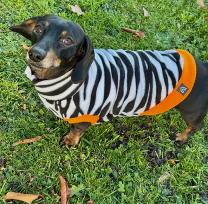 Dachshund Wild Range Fleece Suits with 4 Legs