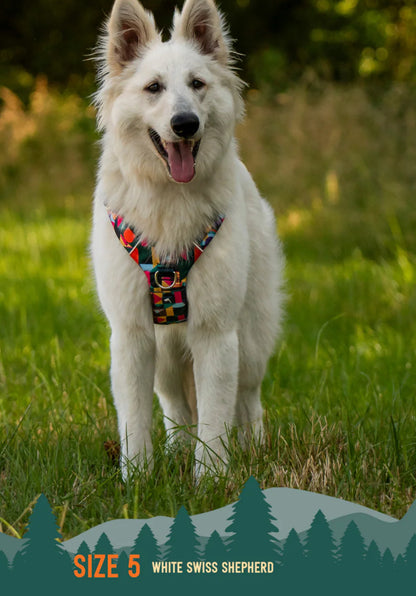 Aurora Adventure Harness 2.0