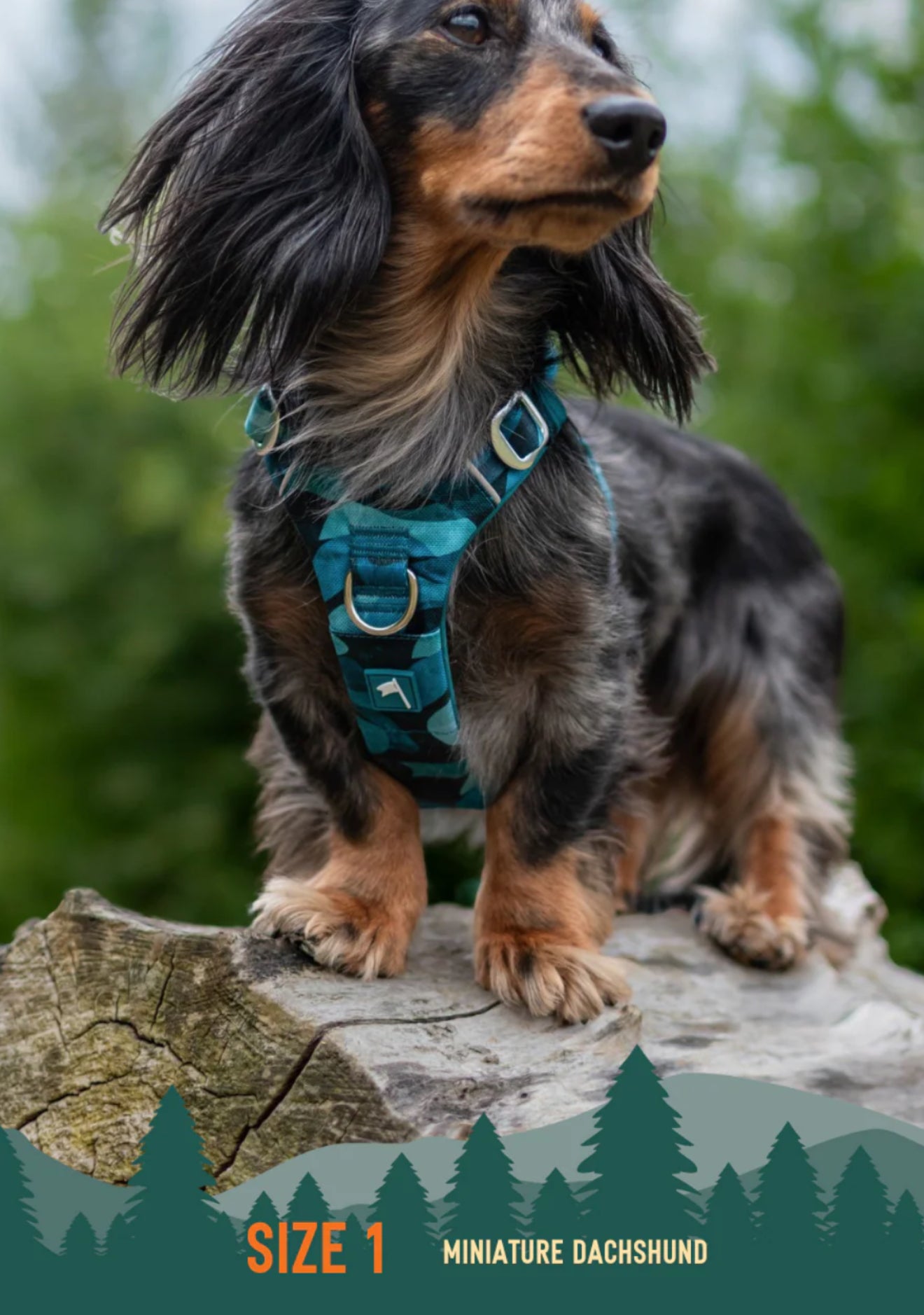 Aurora Adventure Harness 2.0