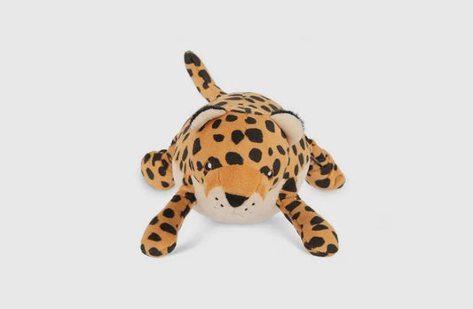 Big Five of Africa - Leopard