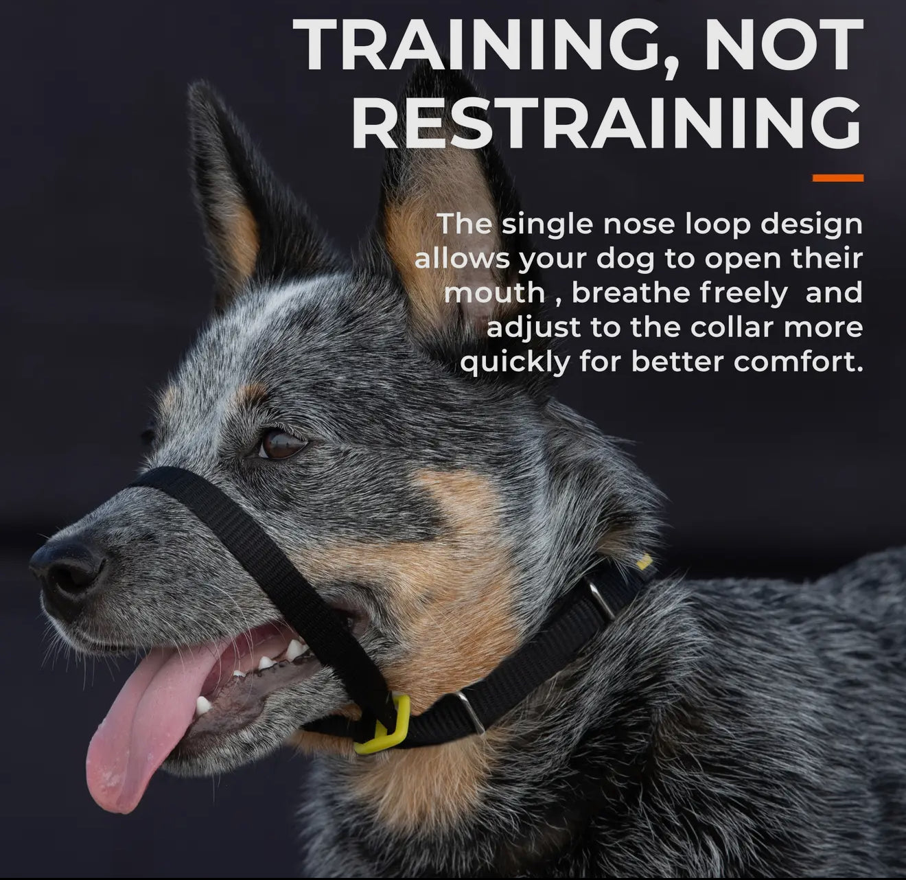 Canny Colossus No Pull Dog Headcollar - Large, Giant Breeds