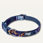 Apex® Collar Nebula