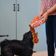 Snack Attack Good Boy Cola