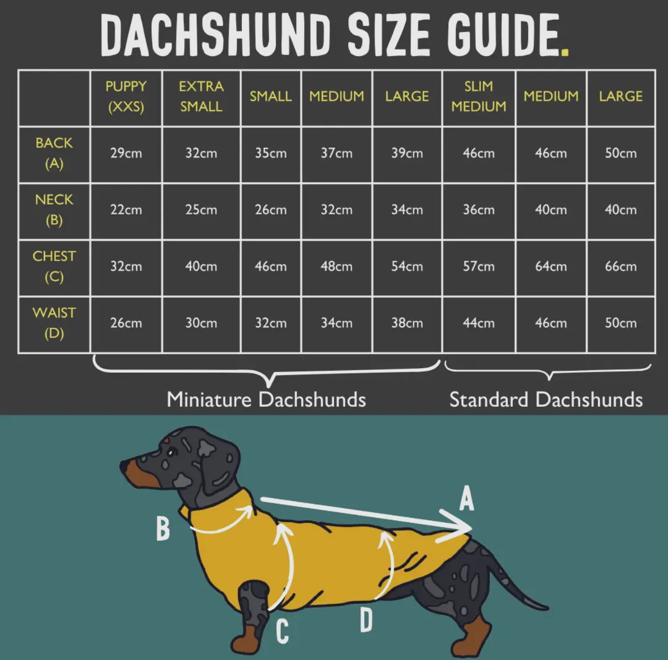 Dachshund Wild Range Fleece Suits with 4 Legs