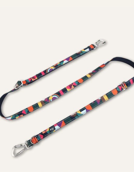 Multi-Way Lead - Aurora