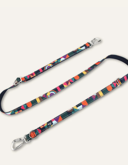 Multi-Way Lead - Aurora