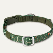 Apex® Collar Nomad